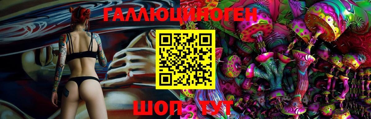 где можно купить   Вход с VPN  Грозный  Псилоцибиновые грибы Psilocybe 
