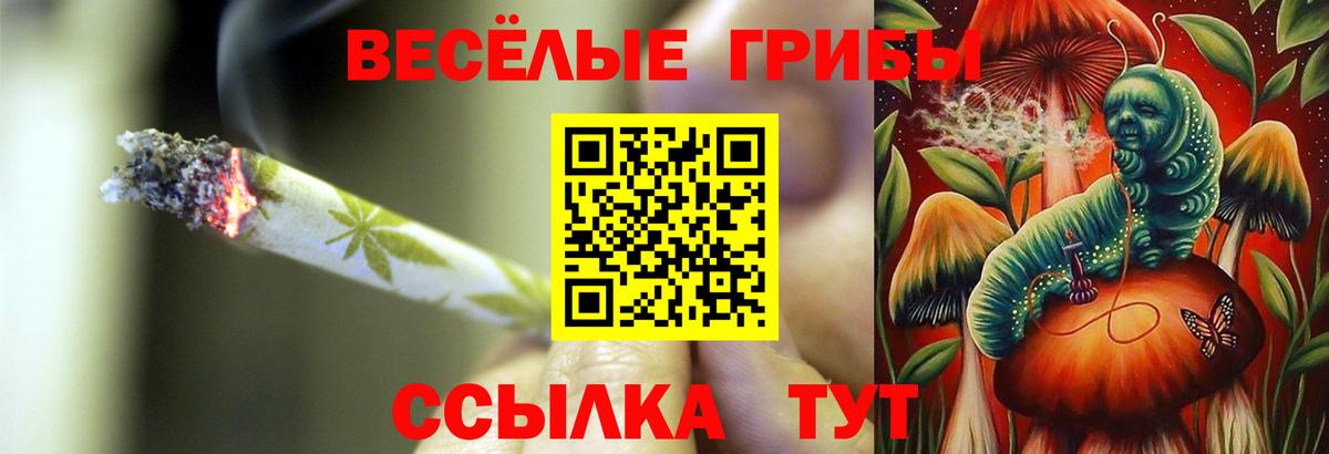 Псилоцибиновые грибы MAGIC MUSHROOMS Грозный